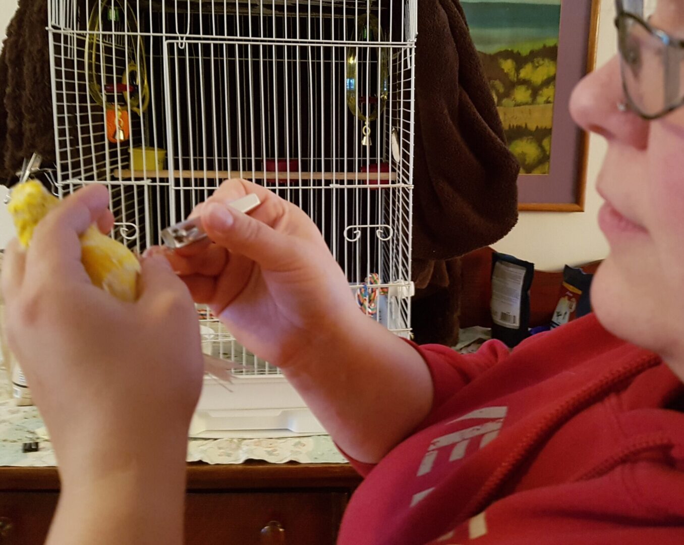 A person holding a banana in front of a bird cage.