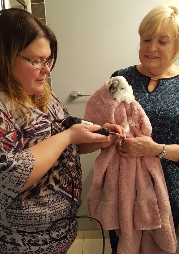 Two women are holding a dog in a towel.