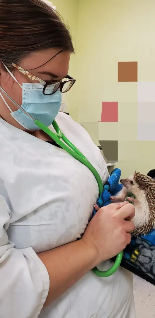 A person holding an animal in their hands.