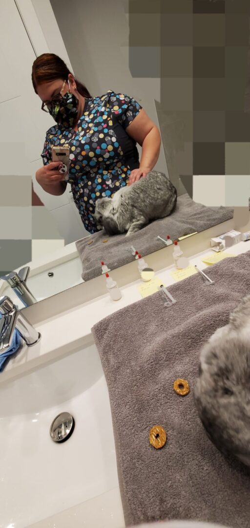 A cat is sitting on the towel in front of a mirror.