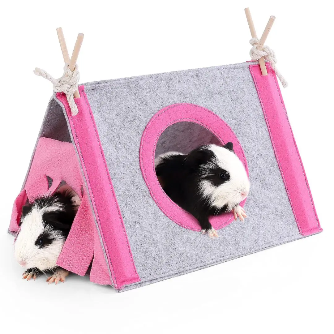 A pink and gray tent with two small animals inside.