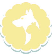 A dog and cat are sitting in the shape of a flower.