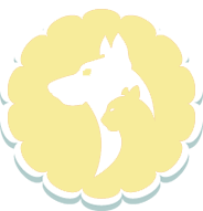 A dog and cat are sitting in the shape of a flower.